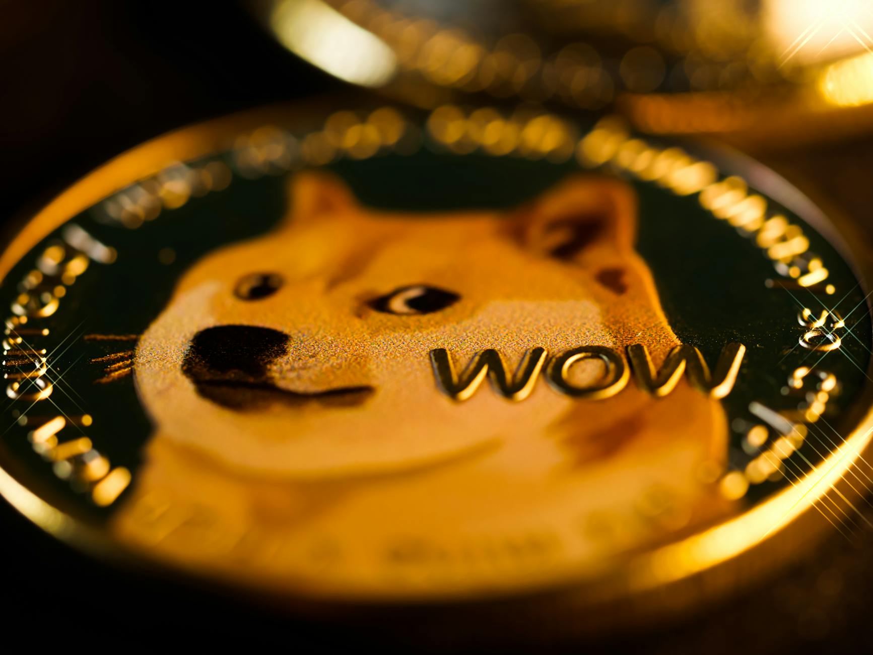 close up shot fo a dogecoin